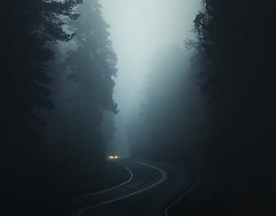 En tehlikeli hayvanlar: sivrisinekler ve korkunç köpekbalıkları hakkındaki gerçekler...